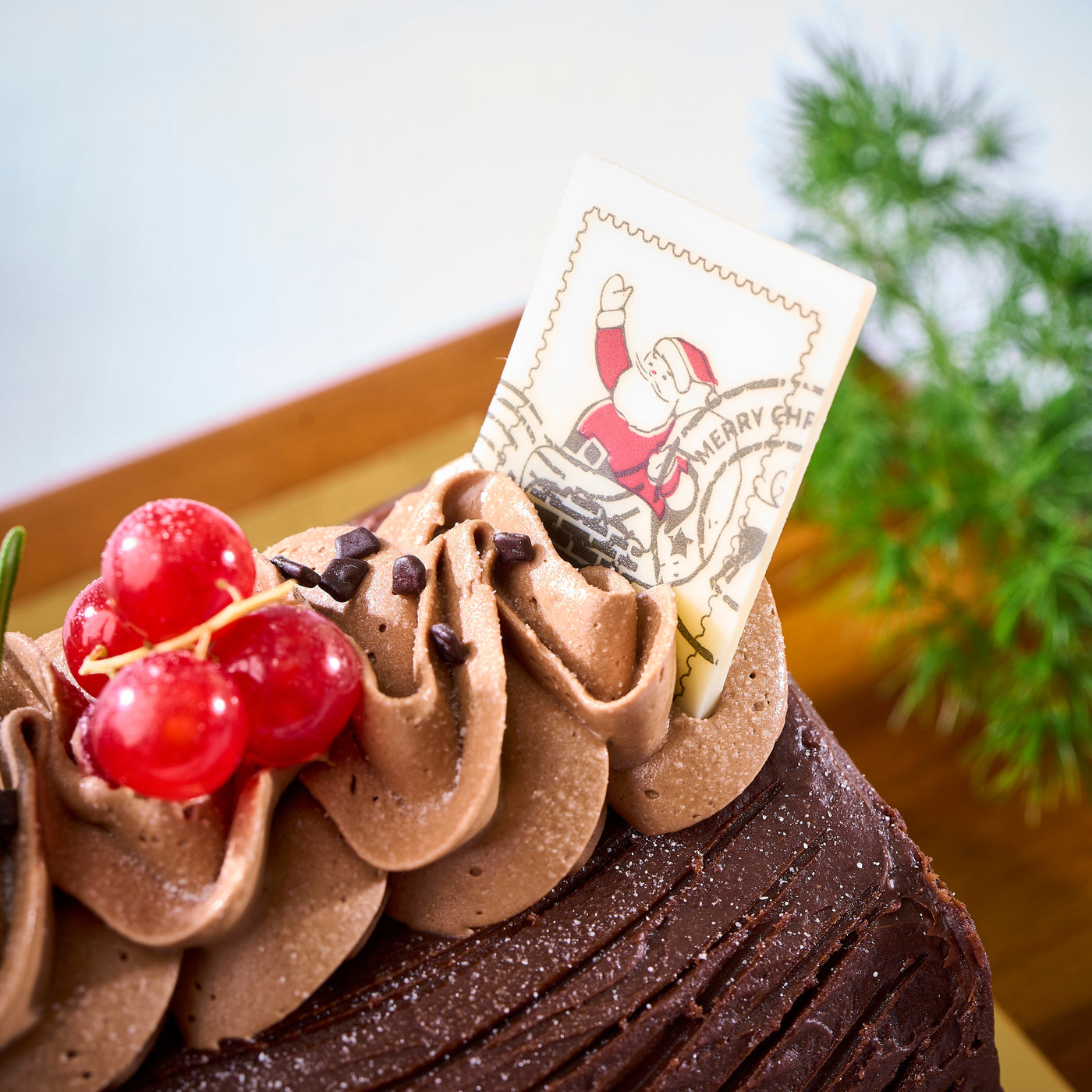 Chocolate Cherry Swirl Log Cake (Slice)