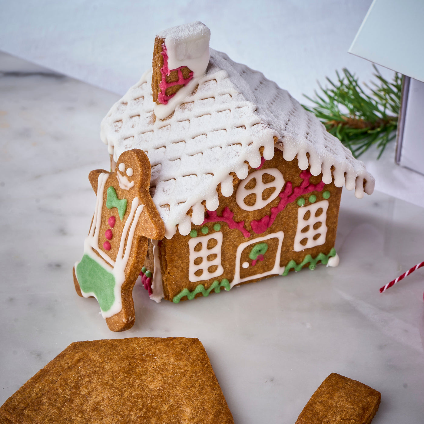 Gingerbread House DIY Kit