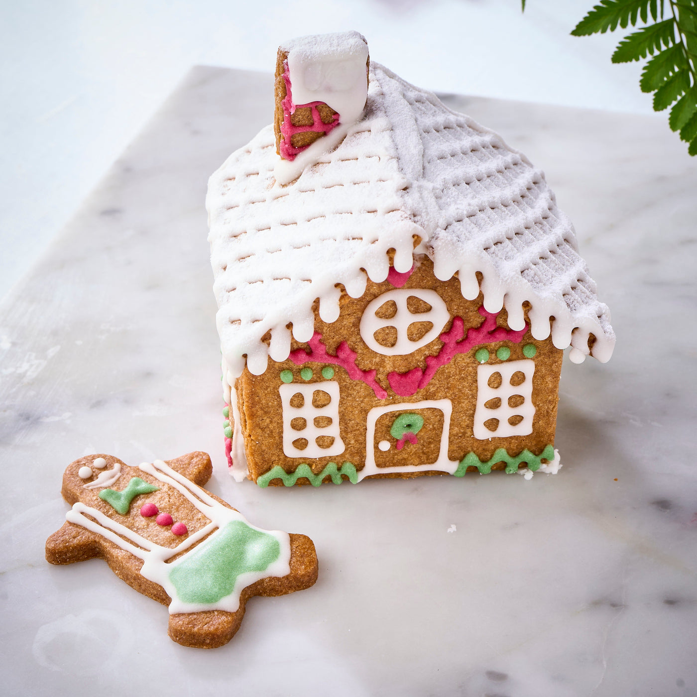 Gingerbread House DIY Kit